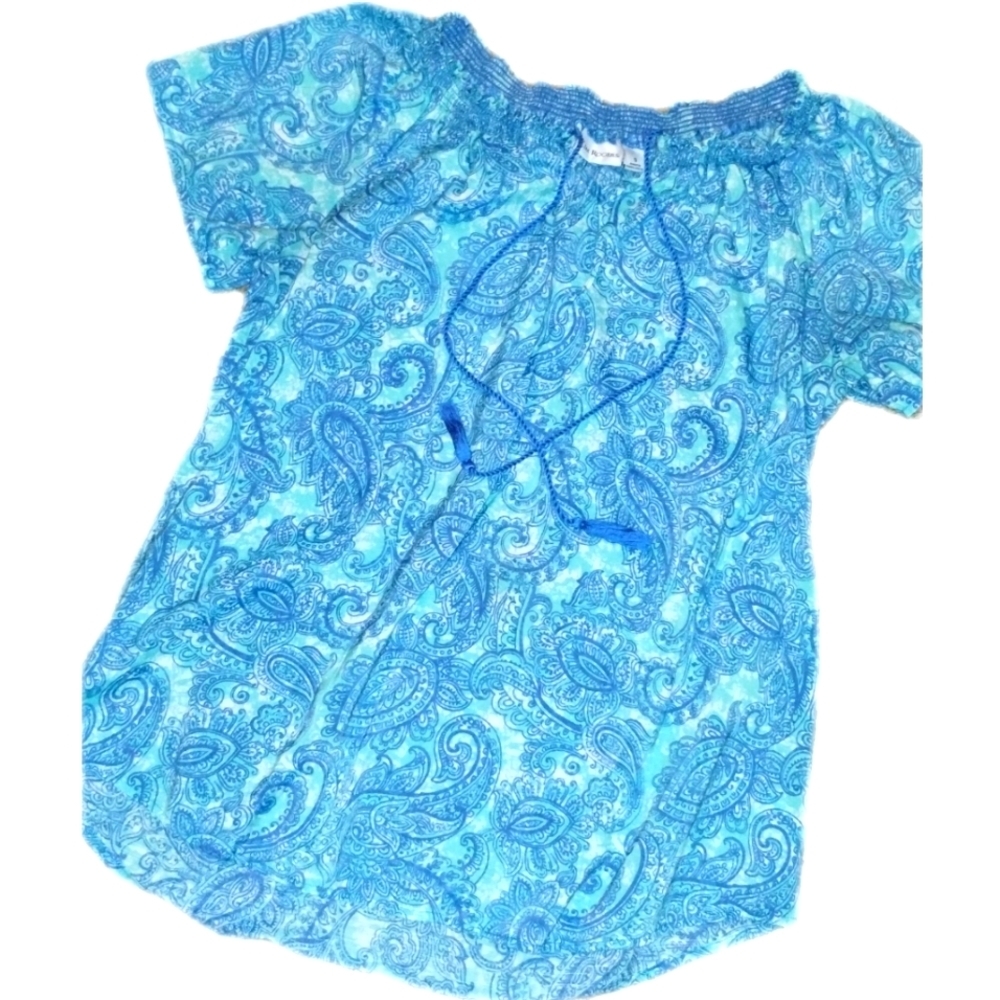 ⭐kim Rogers Women's Size Small Blue on Green